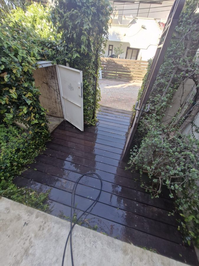 אותו דק לפני הטיפול — העץ אפור, מוכתם ומכוסה טחב